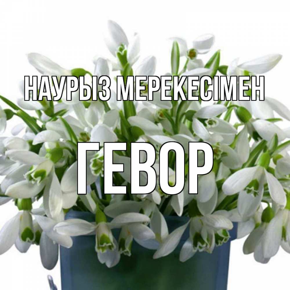 Күн сайын ашық хат с именем, Гевор Наурыз мерекесімен цветы к наурызу новый год в Казахстане Онлайн тегін жүктеп алу тілектері бар керемет карта 