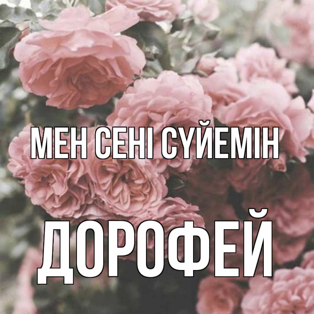 Күн сайын ашық хат с именем, Дорофей Мен сені сүйемін розы 3 Онлайн тегін жүктеп алу тілектері бар керемет карта 