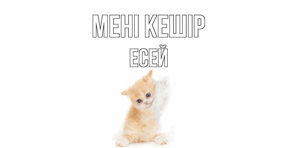 Күн сайын ашық хат с именем, Есей Мені кешір кот Онлайн тегін жүктеп алу тілектері бар керемет карта 