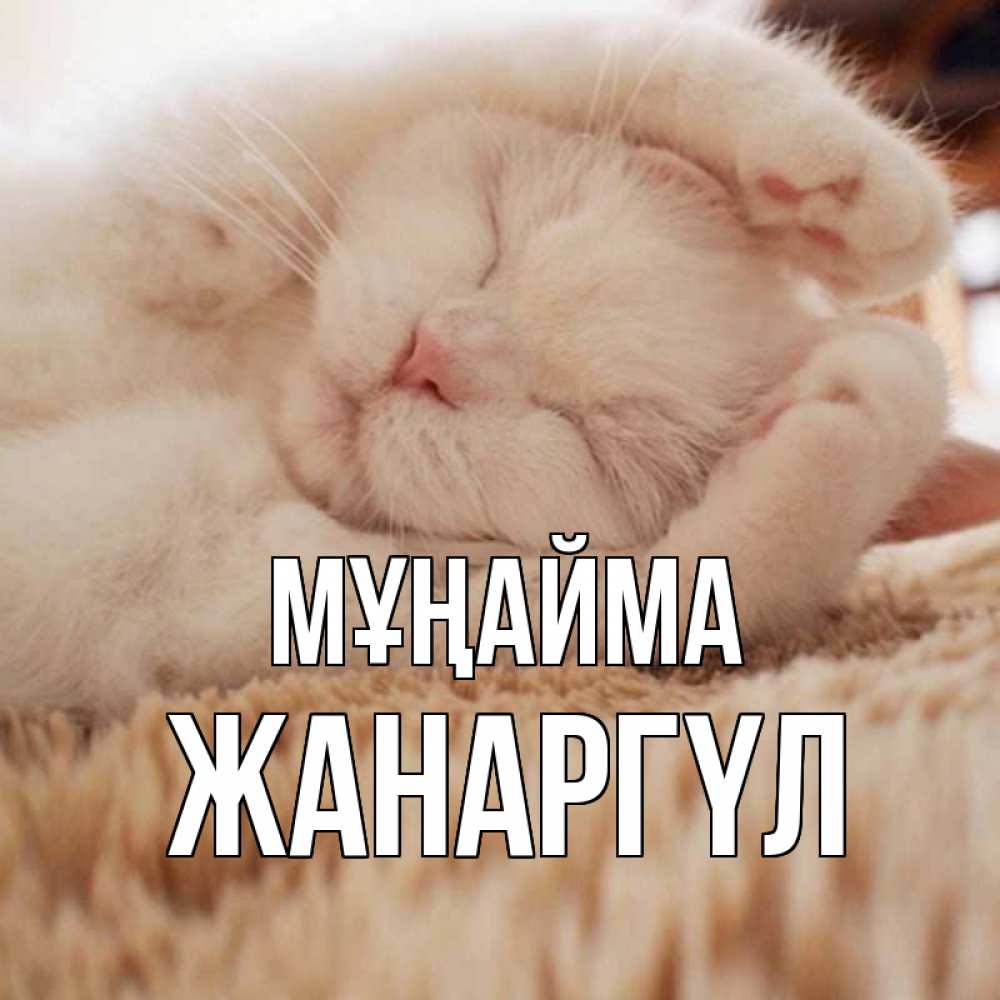 Күн сайын ашық хат с именем, ЖАНАРГҮЛ Мұңайма белый кот Онлайн тегін жүктеп алу тілектері бар керемет карта 