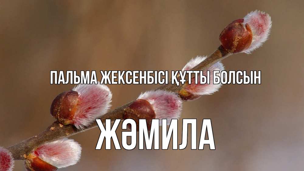 Күн сайын ашық хат с именем, ЖӘМИЛА Пальма жексенбісі құтты болсын верба Онлайн тегін жүктеп алу тілектері бар керемет карта 