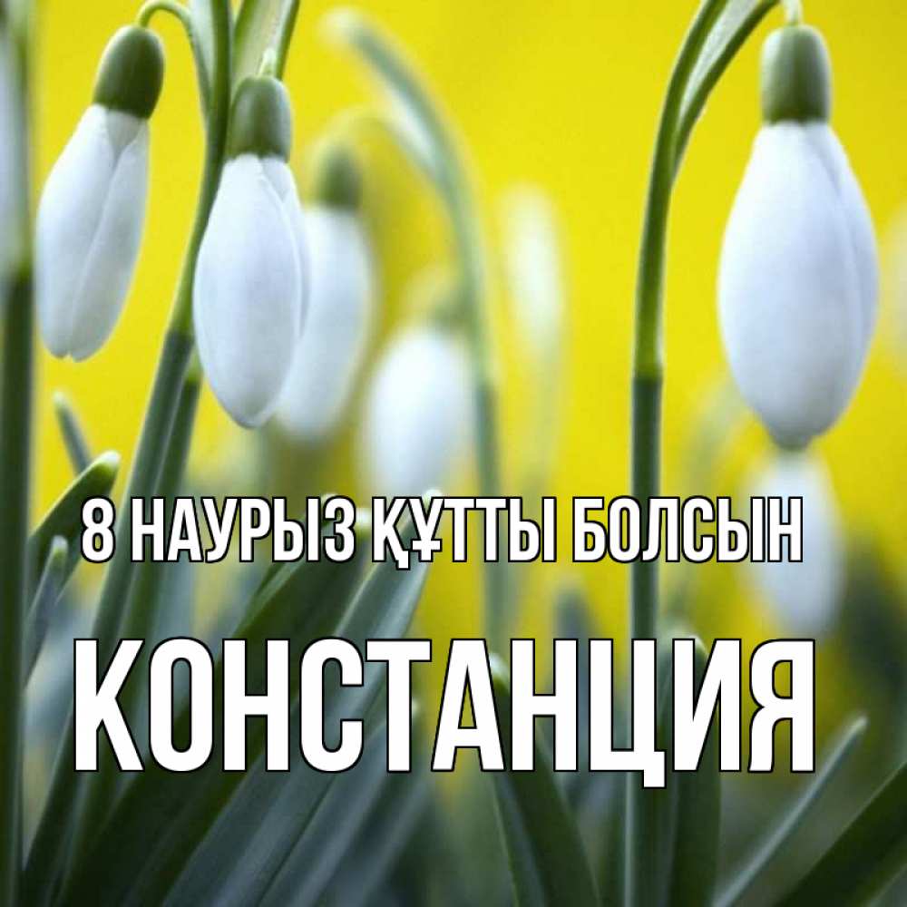 Күн сайын ашық хат с именем, Констанция 8 наурыз құтты болсын весенние цветы Онлайн тегін жүктеп алу тілектері бар керемет карта 
