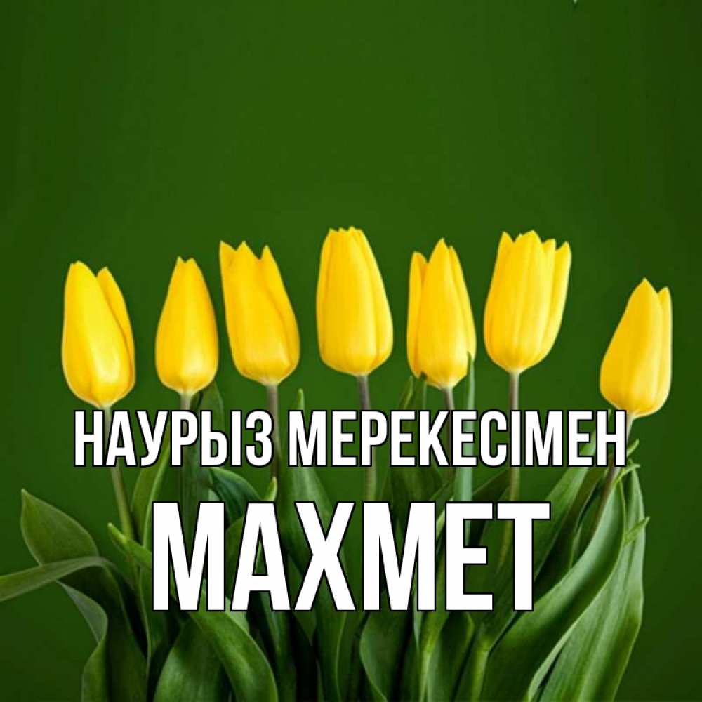 Күн сайын ашық хат с именем, МАХМЕТ Наурыз мерекесімен желтого цвета 3 Онлайн тегін жүктеп алу тілектері бар керемет карта 