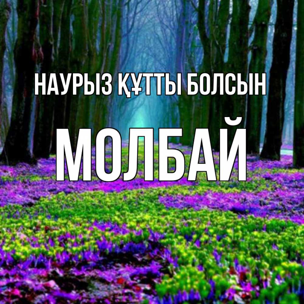 Күн сайын ашық хат с именем, МОЛБАЙ Наурыз құтты болсын фиолетовые цветы в лесу 1 Онлайн тегін жүктеп алу тілектері бар керемет карта 