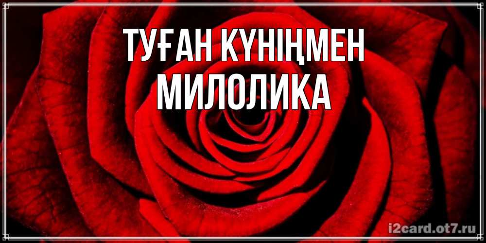 Күн сайын ашық хат с именем, Милолика Туған күніңмен алая роза Онлайн тегін жүктеп алу тілектері бар керемет карта 