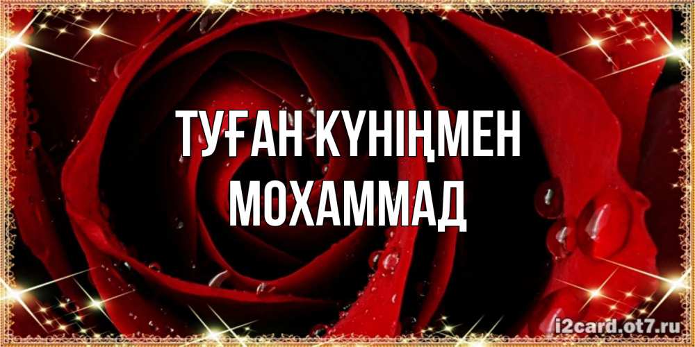 Күн сайын ашық хат с именем, Мохаммад Туған күніңмен цветок в росе на день рождения Онлайн тегін жүктеп алу тілектері бар керемет карта 