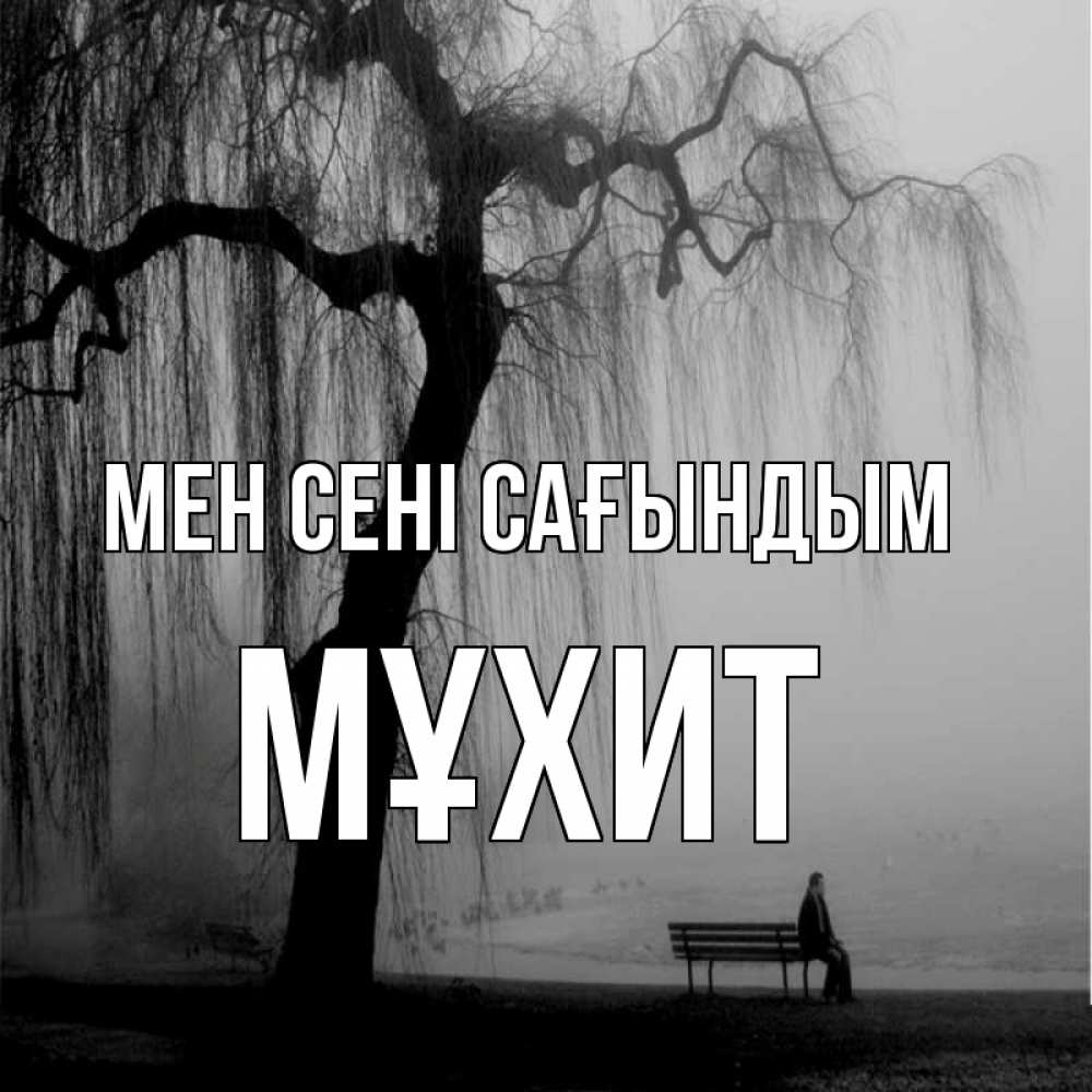 Күн сайын ашық хат с именем, МҰХИТ Мен сені сағындым лавочка под деревом я жду тебя Онлайн тегін жүктеп алу тілектері бар керемет карта 