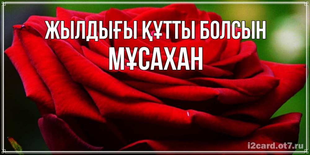 Күн сайын ашық хат с именем, Мұсахан Жылдығы құтты болсын розочка очень красивая Онлайн тегін жүктеп алу тілектері бар керемет карта 