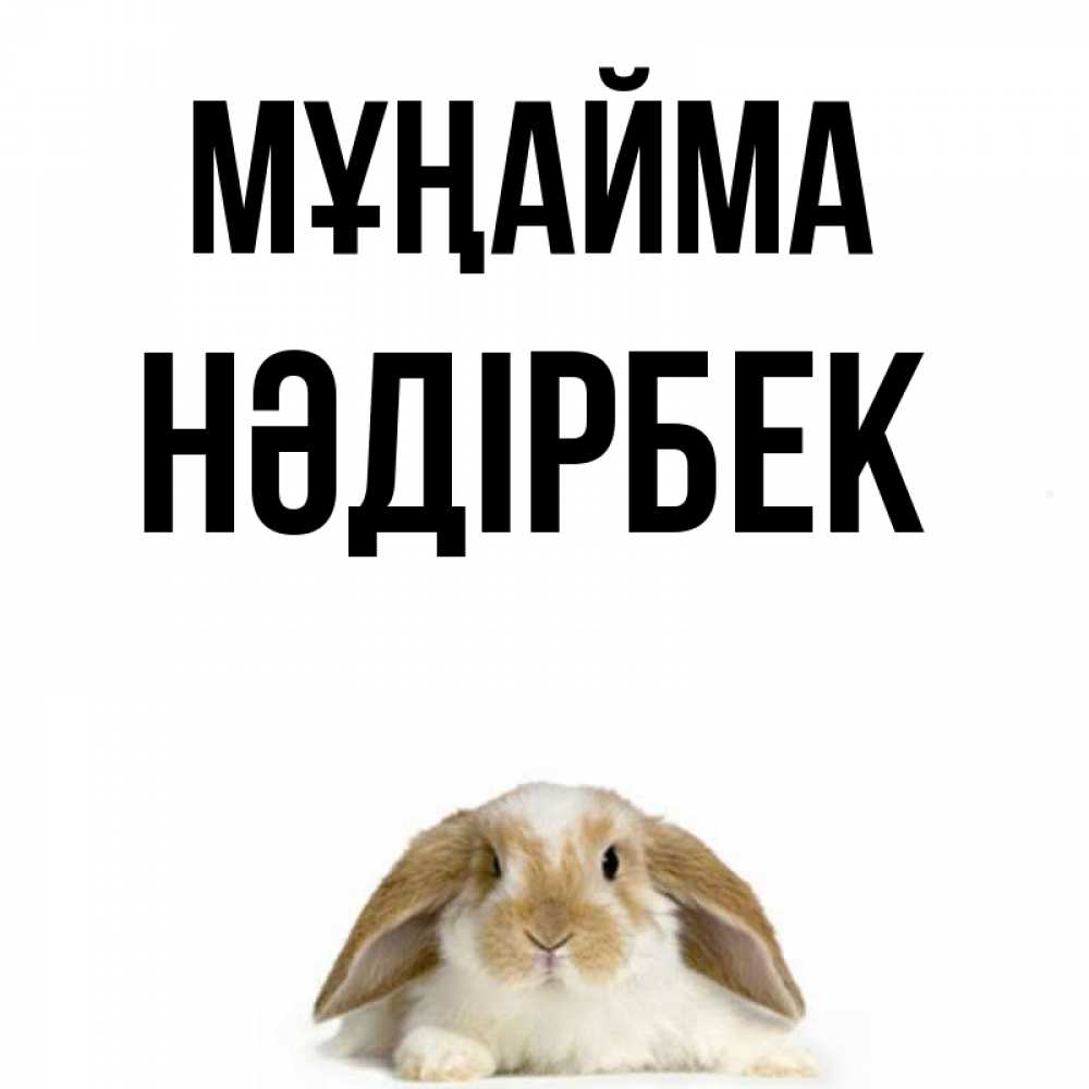 Күн сайын ашық хат с именем, НӘДІРБЕК Мұңайма коричнево белый заяц с большими ушками Онлайн тегін жүктеп алу тілектері бар керемет карта 