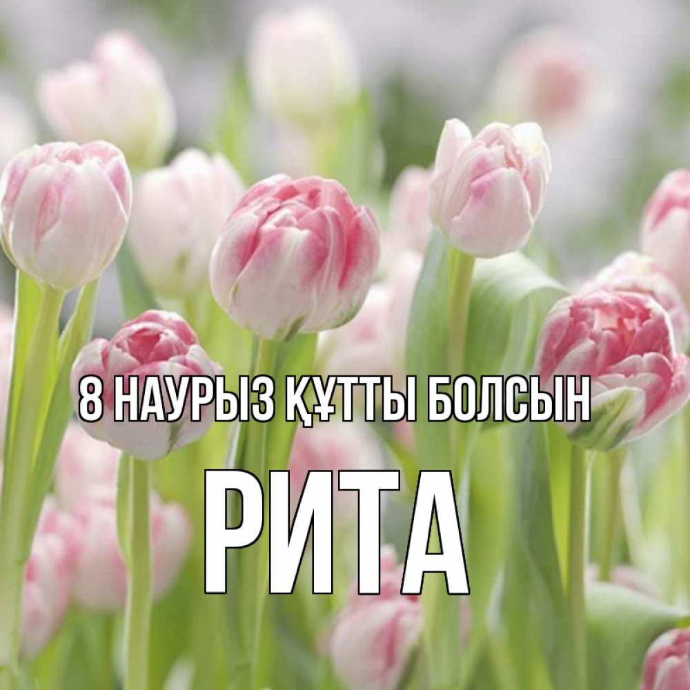 Күн сайын ашық хат с именем, Рита 8 наурыз құтты болсын цветы Онлайн тегін жүктеп алу тілектері бар керемет карта 