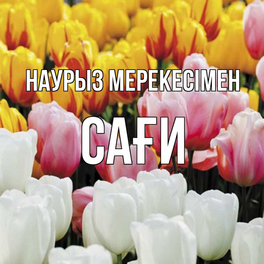 Күн сайын ашық хат с именем, САҒИ Наурыз мерекесімен разноцветные цветы Онлайн тегін жүктеп алу тілектері бар керемет карта 