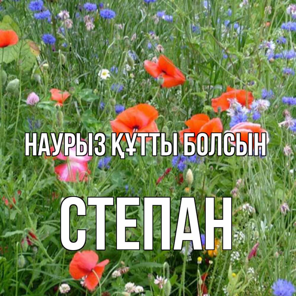 Күн сайын ашық хат с именем, Степан Наурыз құтты болсын наурыз  4 Онлайн тегін жүктеп алу тілектері бар керемет карта 