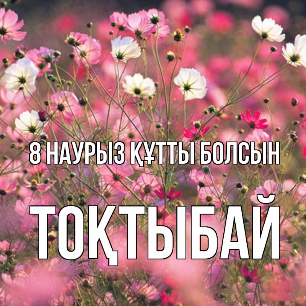 Күн сайын ашық хат с именем, ТОҚТЫБАЙ 8 наурыз құтты болсын красиво 1 Онлайн тегін жүктеп алу тілектері бар керемет карта 