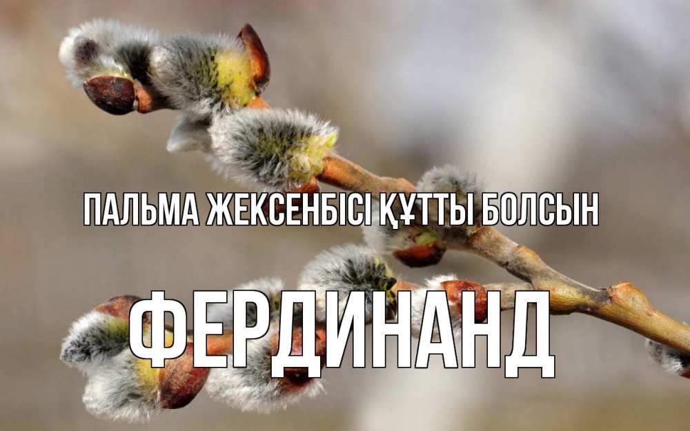 Күн сайын ашық хат с именем, Фердинанд Пальма жексенбісі құтты болсын Верба Онлайн тегін жүктеп алу тілектері бар керемет карта 