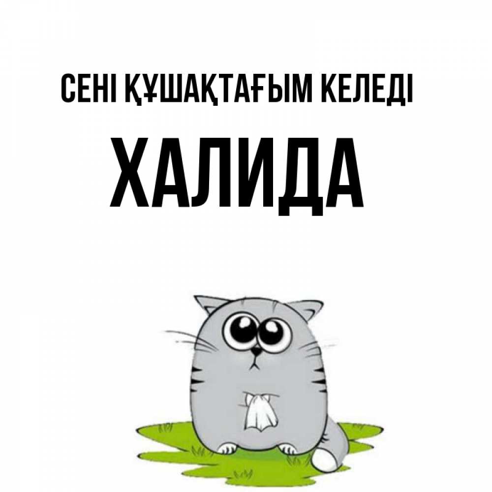 Күн сайын ашық хат с именем, ХАЛИДА сені құшақтағым келеді котик теребит платочек сидя на травке Онлайн тегін жүктеп алу тілектері бар керемет карта 