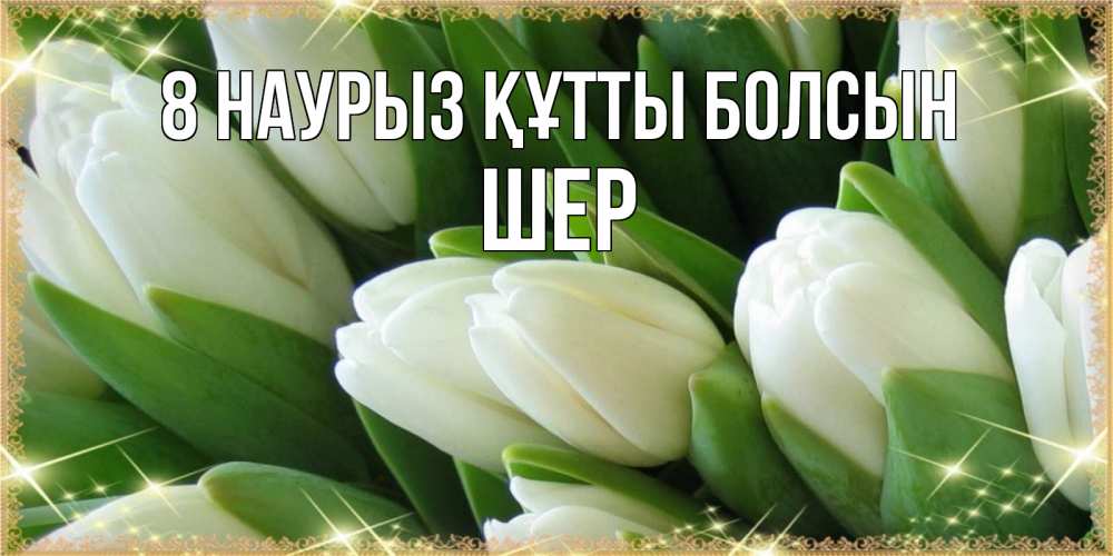 Күн сайын ашық хат с именем, ШЕР 8 наурыз құтты болсын поздравляем с 8 марта Онлайн тегін жүктеп алу тілектері бар керемет карта 