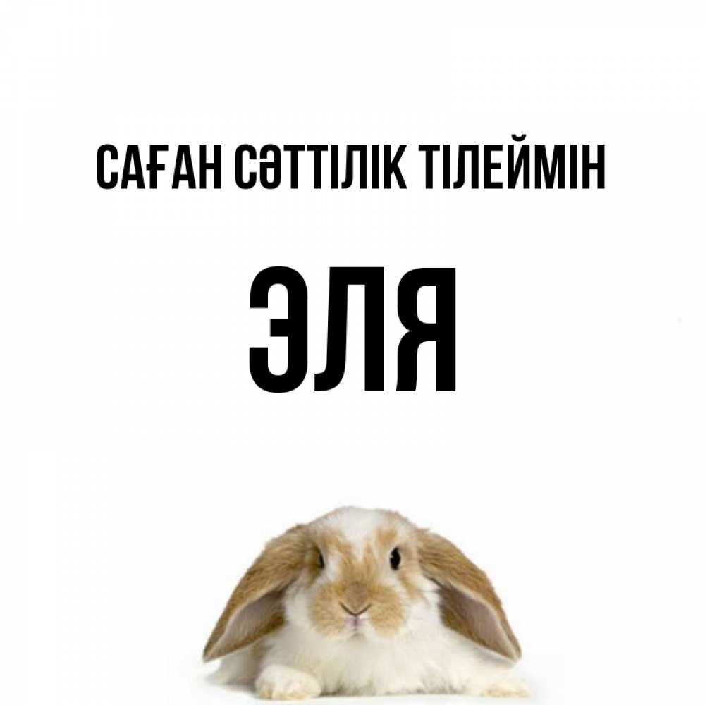 Күн сайын ашық хат с именем, Эля Саған сәттілік тілеймін открытки с произвольным текстом который можно вставить в открытку и создать ее самостоятельно бесплатно онлайн Онлайн тегін жүктеп алу тілектері бар керемет карта 