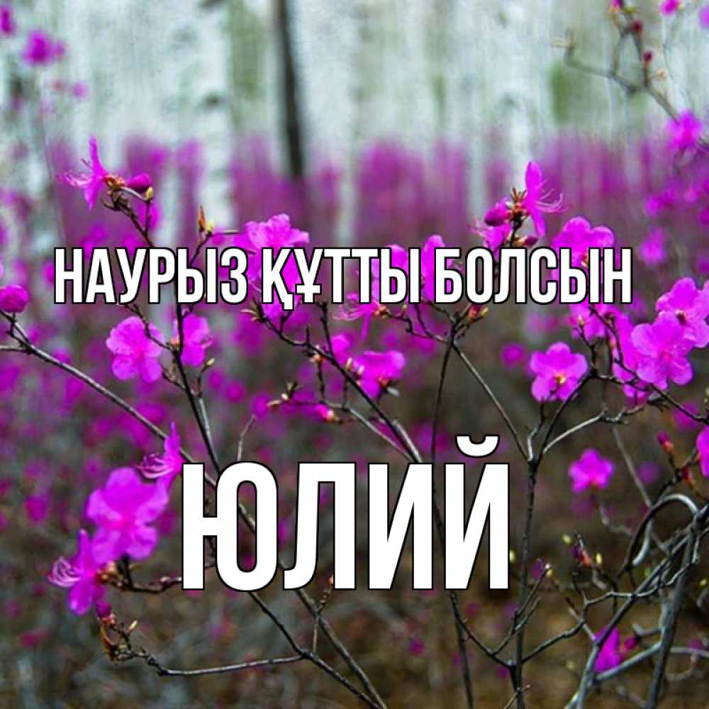 Күн сайын ашық хат с именем, Юлий Наурыз құтты болсын дикие цветы Онлайн тегін жүктеп алу тілектері бар керемет карта 