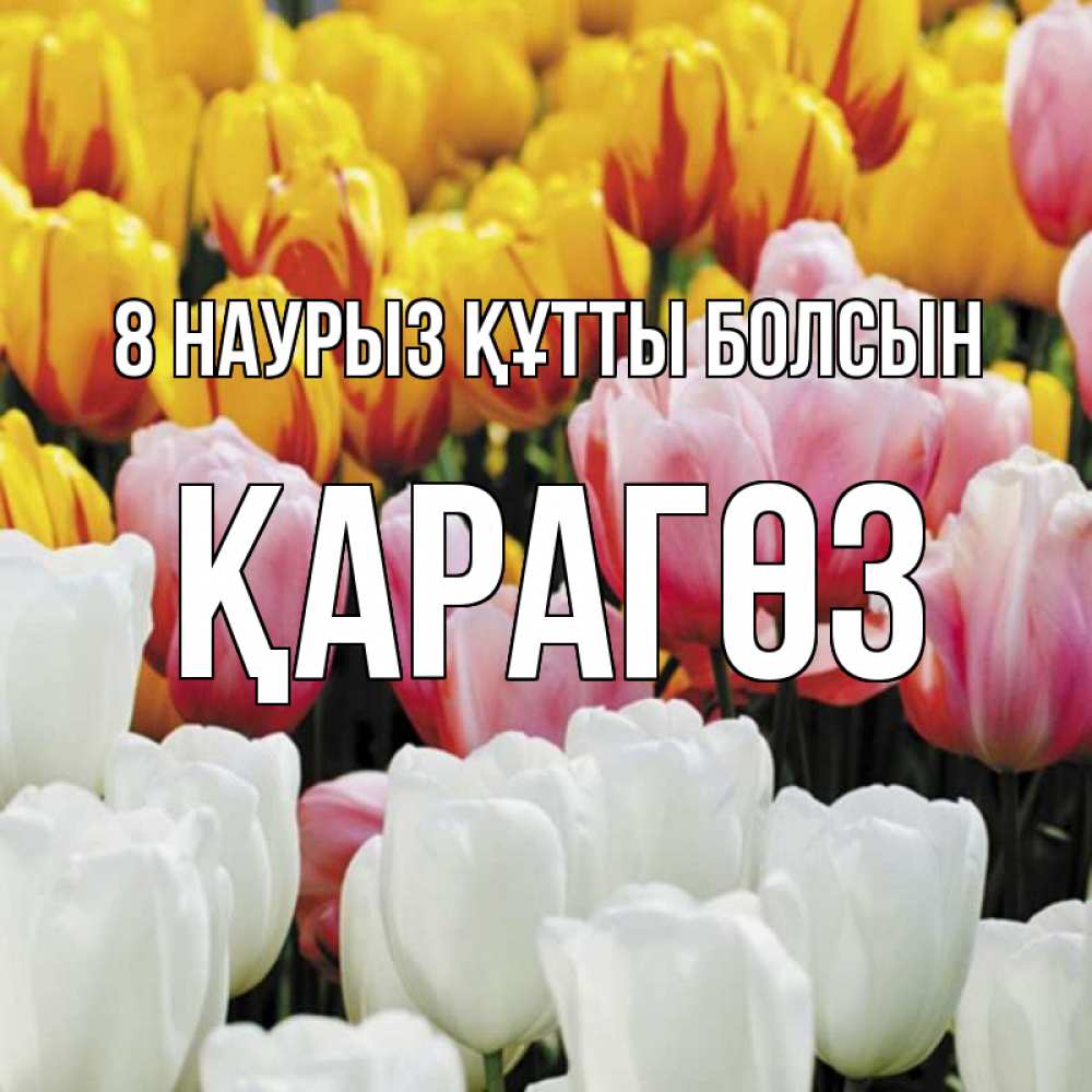 Күн сайын ашық хат с именем, ҚАРАГӨЗ 8 наурыз құтты болсын разноцветные цветы Онлайн тегін жүктеп алу тілектері бар керемет карта 