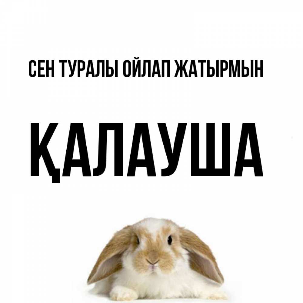 Күн сайын ашық хат с именем, Қалауша Сен туралы ойлап жатырмын подписать своими руками онлайн Онлайн тегін жүктеп алу тілектері бар керемет карта 