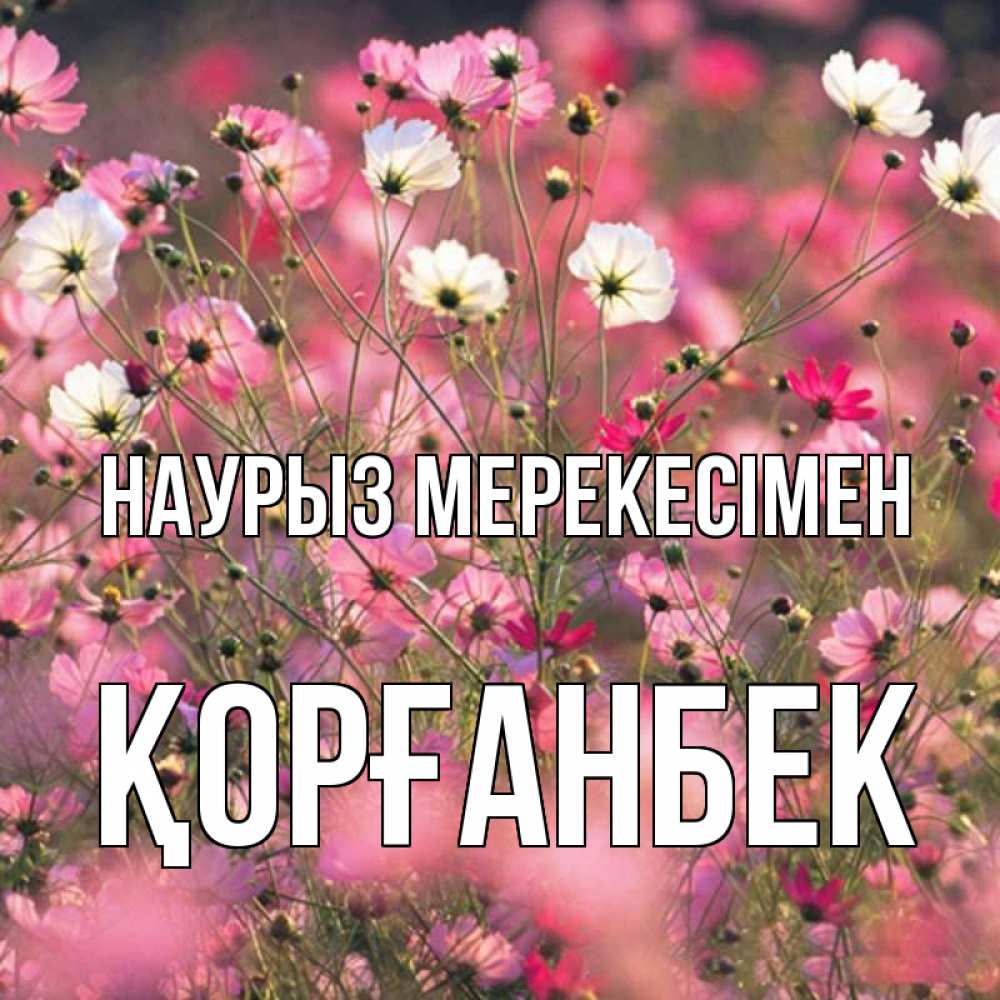 Күн сайын ашық хат с именем, Қорғанбек Наурыз мерекесімен красиво 1 Онлайн тегін жүктеп алу тілектері бар керемет карта 