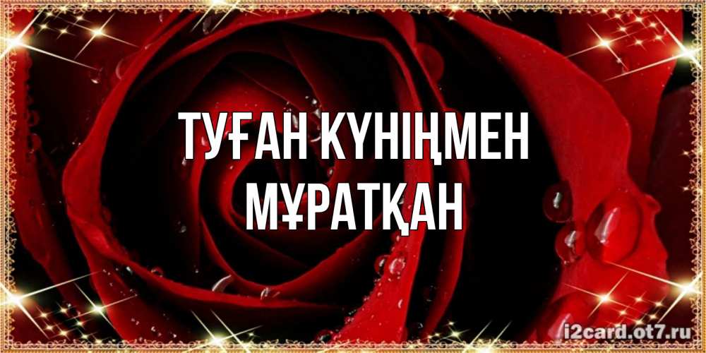 Күн сайын ашық хат с именем, Мұратқан Туған күніңмен цветок в росе на день рождения Онлайн тегін жүктеп алу тілектері бар керемет карта 