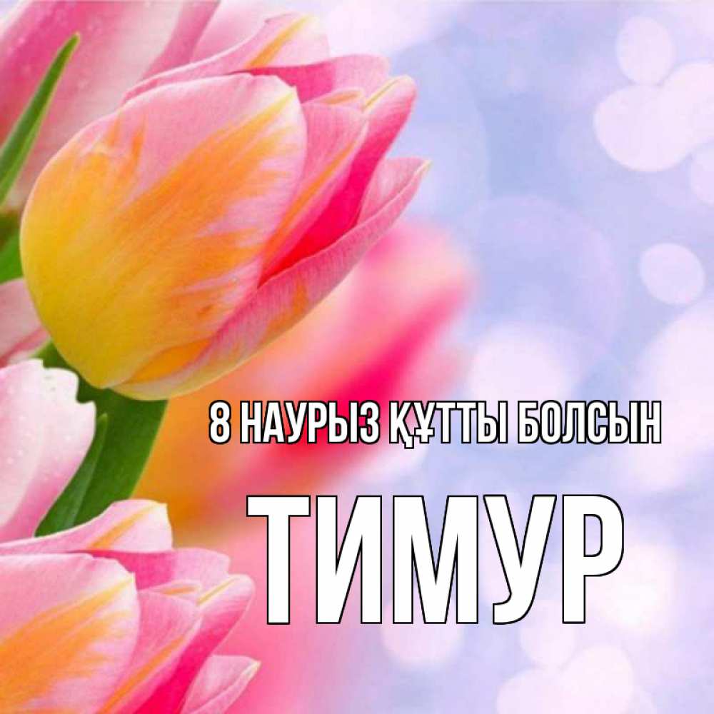 Күн сайын ашық хат с именем, Тимур 8 наурыз құтты болсын тюльпаны 2 Онлайн тегін жүктеп алу тілектері бар керемет карта 