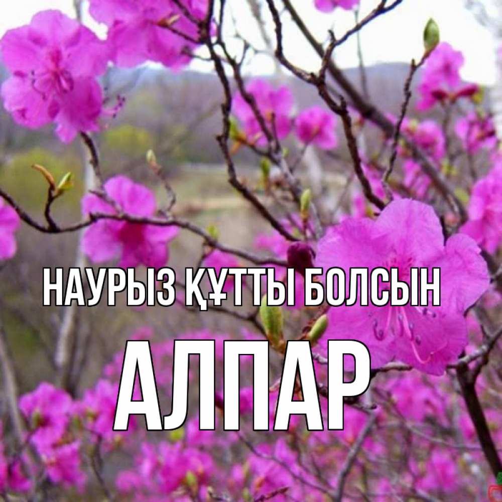 Күн сайын ашық хат с именем, Алпар Наурыз құтты болсын наурыз мейрамы кутты болсын Онлайн тегін жүктеп алу тілектері бар керемет карта 
