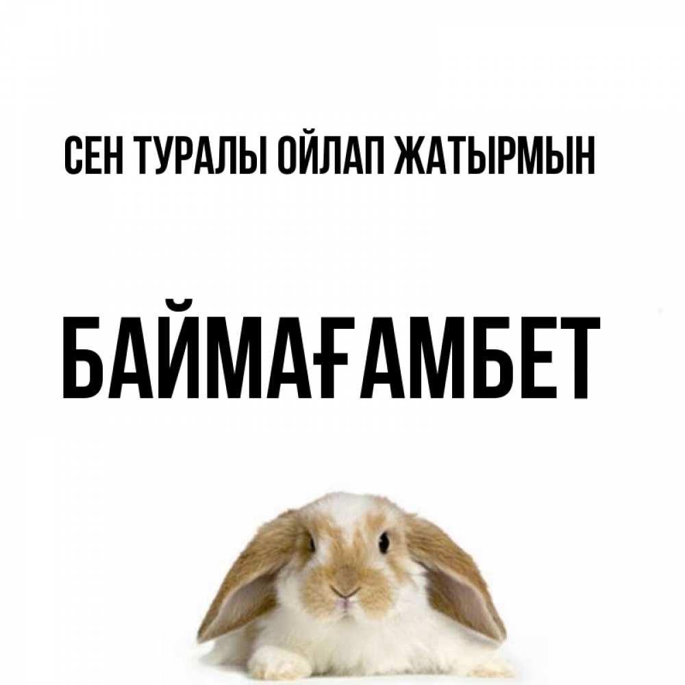 Күн сайын ашық хат с именем, Баймағамбет Сен туралы ойлап жатырмын подписать своими руками онлайн Онлайн тегін жүктеп алу тілектері бар керемет карта 