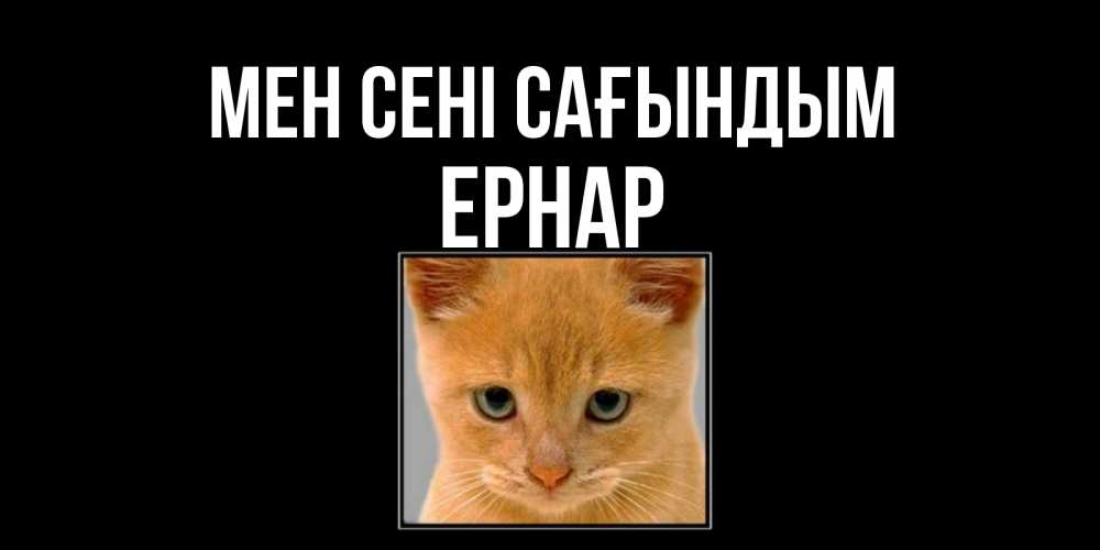 Күн сайын ашық хат с именем, Ернар Мен сені сағындым открытки рыжий котенок скучает по тебе Онлайн тегін жүктеп алу тілектері бар керемет карта 