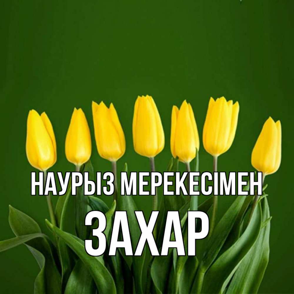 Күн сайын ашық хат с именем, Захар Наурыз мерекесімен желтого цвета 3 Онлайн тегін жүктеп алу тілектері бар керемет карта 