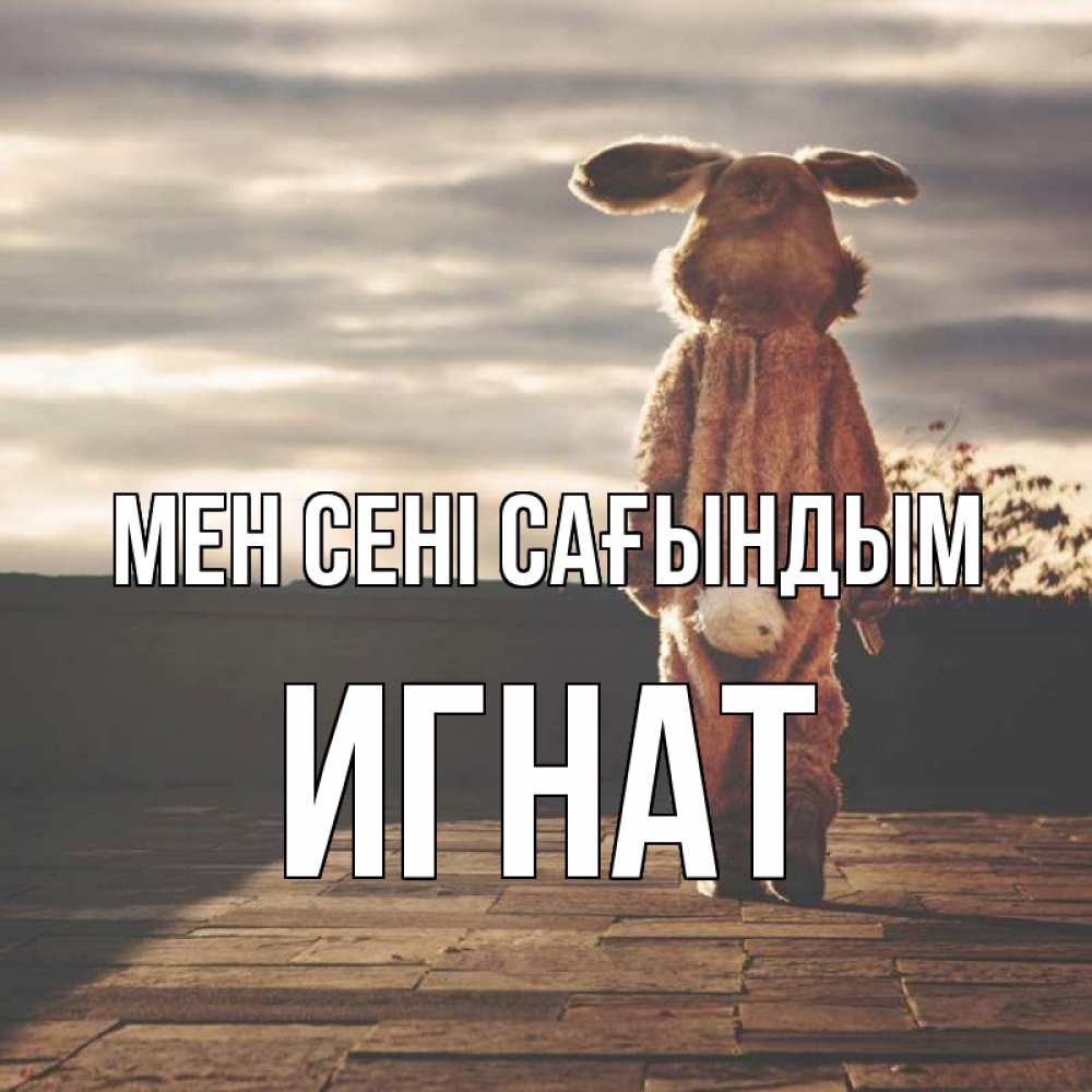 Күн сайын ашық хат с именем, Игнат Мен сені сағындым даже в костюме зайца Онлайн тегін жүктеп алу тілектері бар керемет карта 