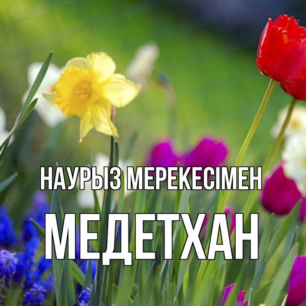 Күн сайын ашық хат с именем, МЕДЕТХАН Наурыз мерекесімен праздник весны наурыз 3 Онлайн тегін жүктеп алу тілектері бар керемет карта 