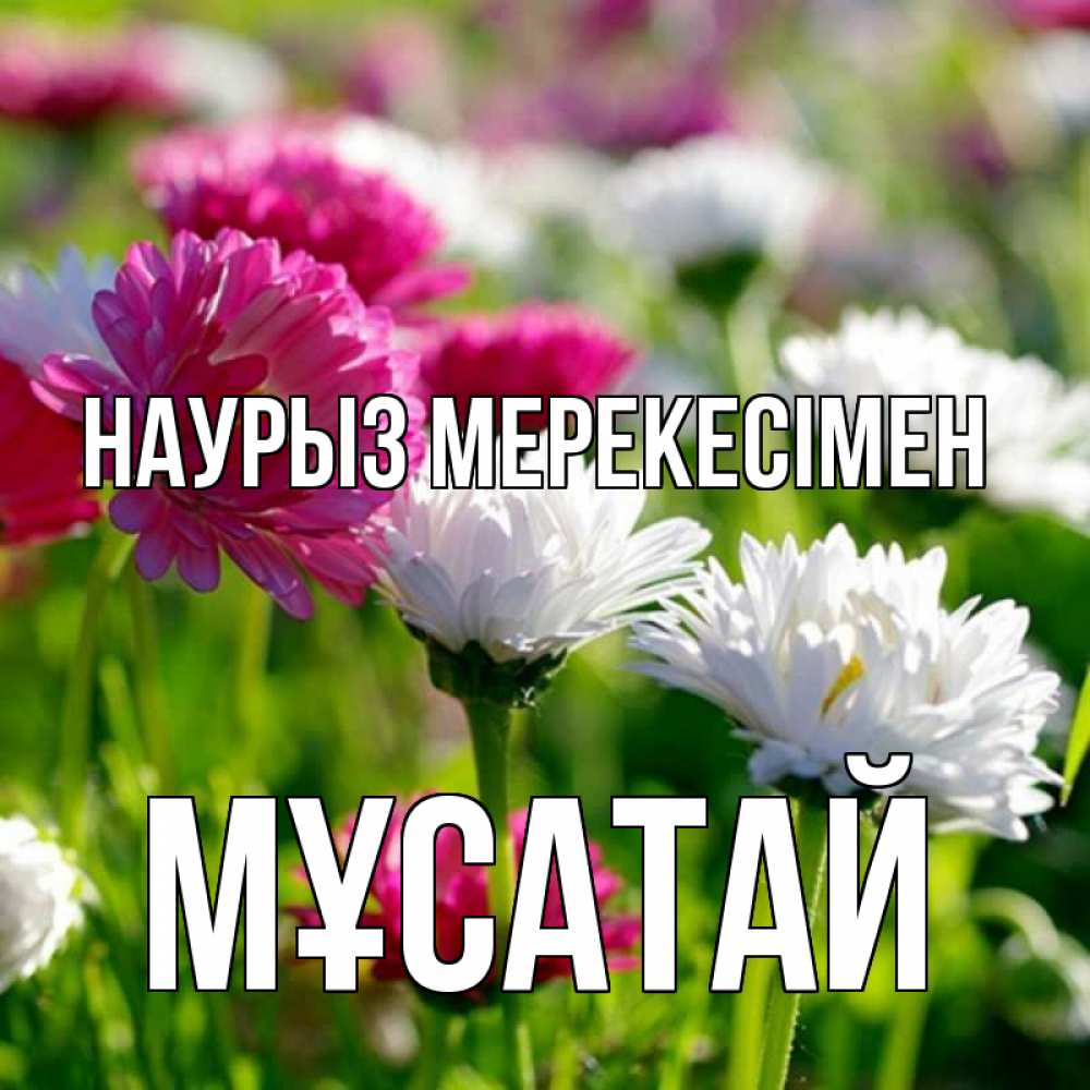Күн сайын ашық хат с именем, Мұсатай Наурыз мерекесімен праздник весны наурыз красота Онлайн тегін жүктеп алу тілектері бар керемет карта 