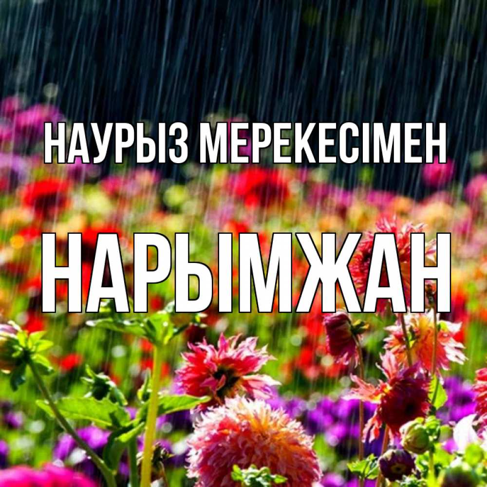 Күн сайын ашық хат с именем, НАРЫМЖАН Наурыз мерекесімен цветы под дождиком к международному женскому дню Онлайн тегін жүктеп алу тілектері бар керемет карта 
