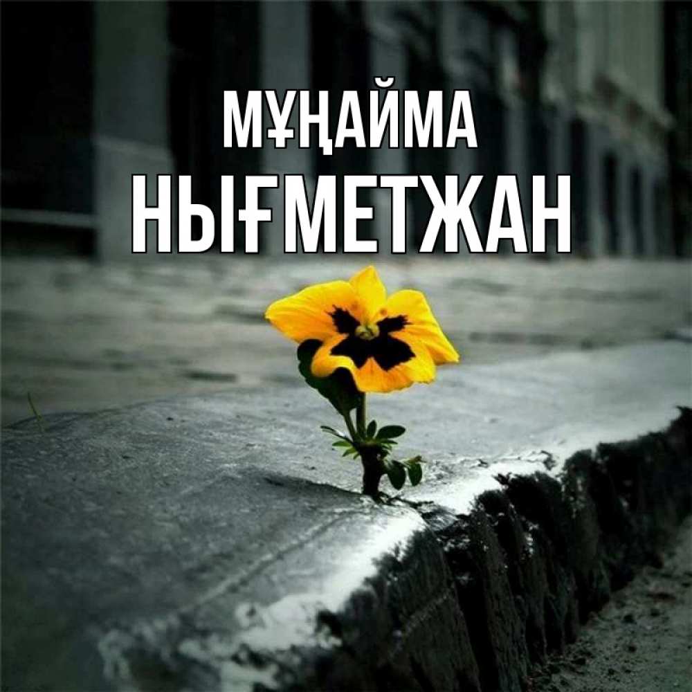 Күн сайын ашық хат с именем, НЫҒМЕТЖАН Мұңайма не сдавайся Онлайн тегін жүктеп алу тілектері бар керемет карта 
