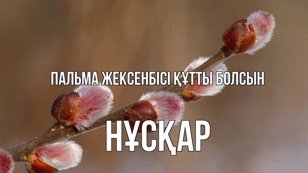 Күн сайын ашық хат с именем, НҰСҚАР Пальма жексенбісі құтты болсын верба Онлайн тегін жүктеп алу тілектері бар керемет карта 