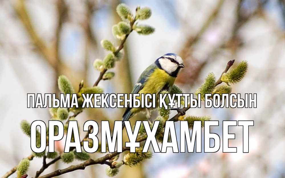 Күн сайын ашық хат с именем, ОРАЗМҰХАМБЕТ Пальма жексенбісі құтты болсын верба Онлайн тегін жүктеп алу тілектері бар керемет карта 