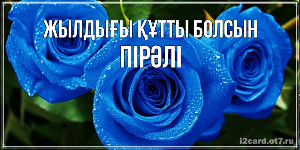 Күн сайын ашық хат с именем, ПІРӘЛІ Жылдығы құтты болсын розы с синим цветом Онлайн тегін жүктеп алу тілектері бар керемет карта 