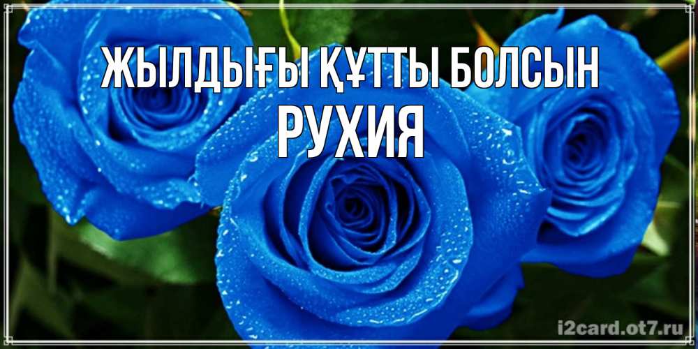 Күн сайын ашық хат с именем, РУХИЯ Жылдығы құтты болсын розы с синим цветом Онлайн тегін жүктеп алу тілектері бар керемет карта 