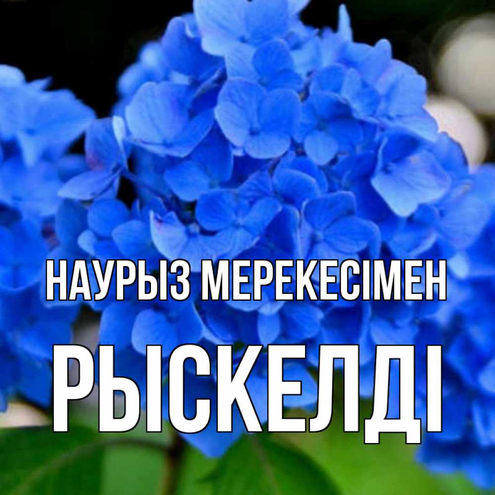 Күн сайын ашық хат с именем, РЫСКЕЛДІ Наурыз мерекесімен синие цветы Онлайн тегін жүктеп алу тілектері бар керемет карта 