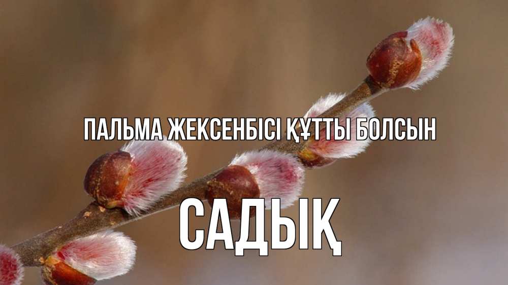 Күн сайын ашық хат с именем, САДЫҚ Пальма жексенбісі құтты болсын верба Онлайн тегін жүктеп алу тілектері бар керемет карта 
