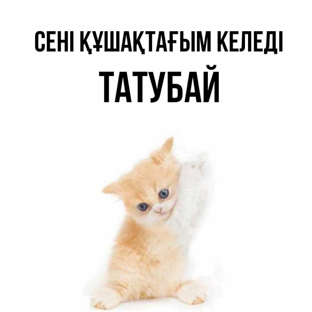 Күн сайын ашық хат с именем, ТАТУБАЙ сені құшақтағым келеді я хочу очень скорее обнимаешек Онлайн тегін жүктеп алу тілектері бар керемет карта 