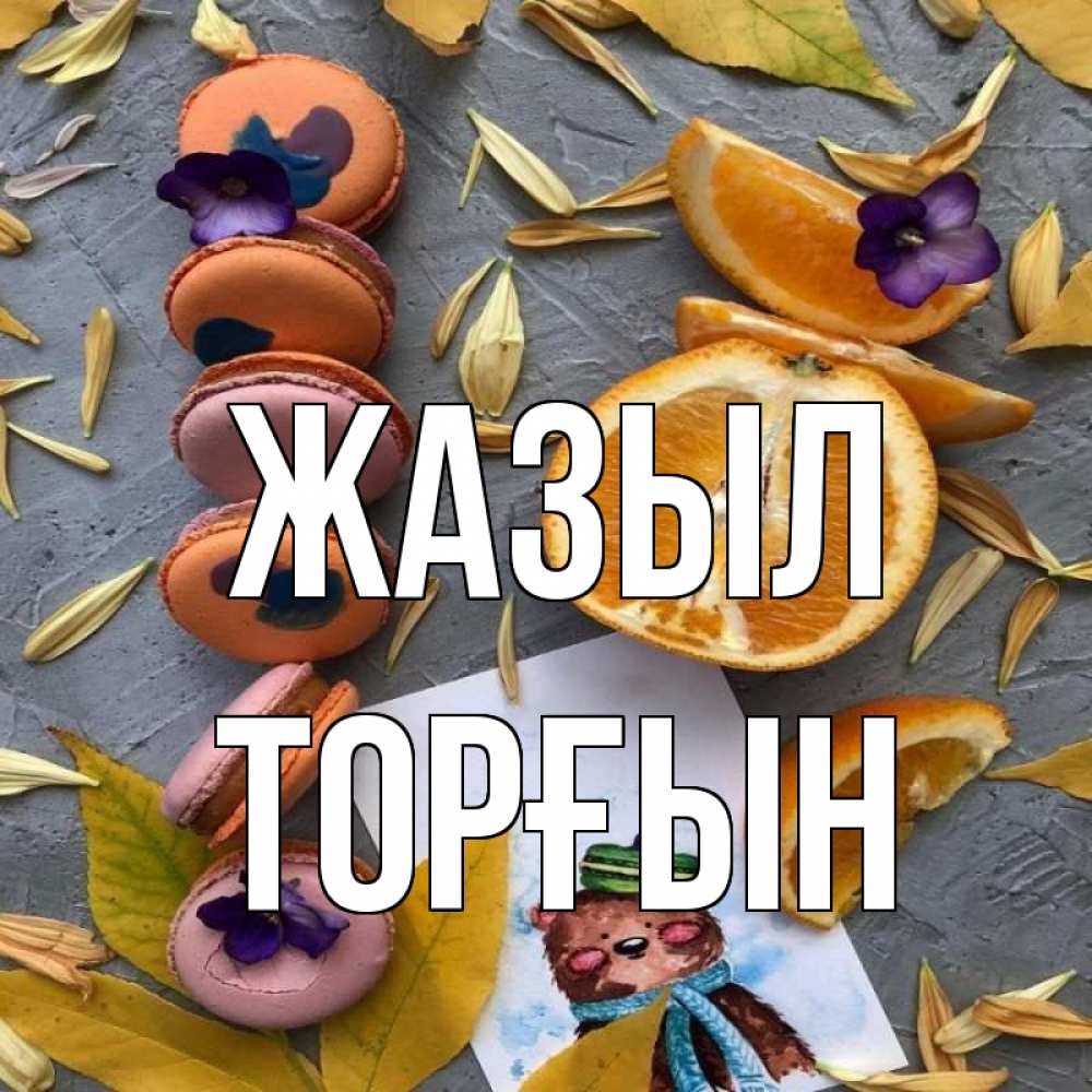 Күн сайын ашық хат с именем, ТОРҒЫН Жазыл не болейте Онлайн тегін жүктеп алу тілектері бар керемет карта 