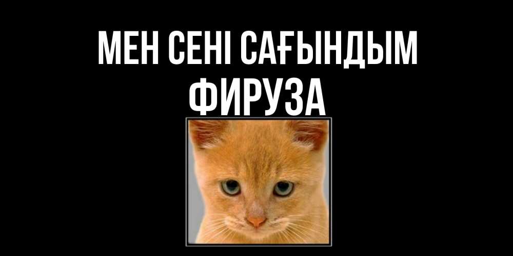 Күн сайын ашық хат с именем, ФИРУЗА Мен сені сағындым открытки рыжий котенок скучает по тебе Онлайн тегін жүктеп алу тілектері бар керемет карта 