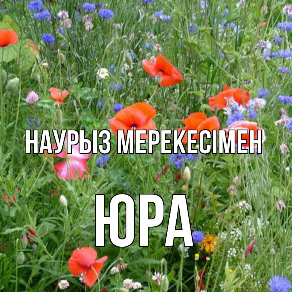 Күн сайын ашық хат с именем, Юра Наурыз мерекесімен праздник весны наурыз супер открытка Онлайн тегін жүктеп алу тілектері бар керемет карта 
