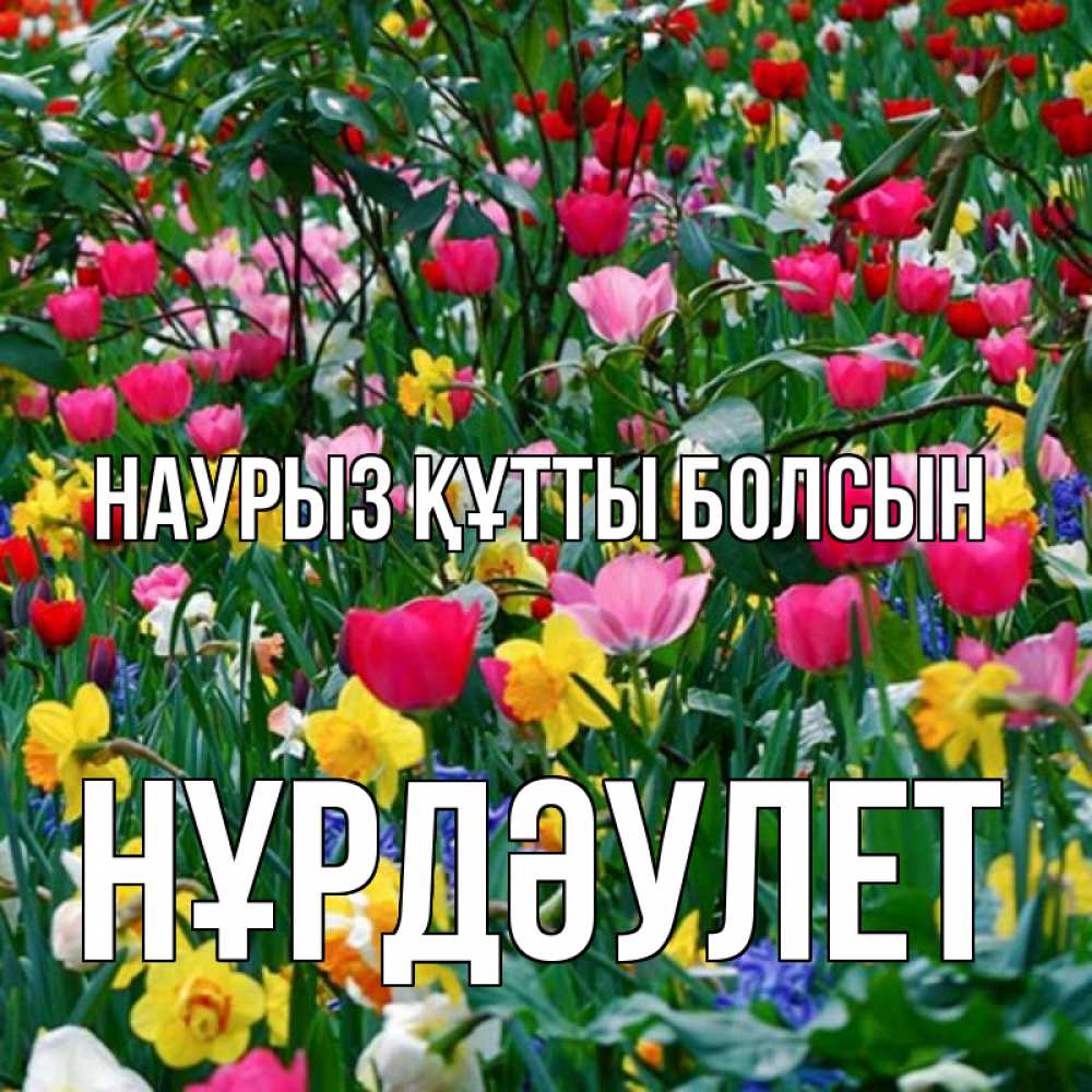 Күн сайын ашық хат с именем, НҰРДӘУЛЕТ Наурыз құтты болсын с наурызом поздравления для женщины Онлайн тегін жүктеп алу тілектері бар керемет карта 