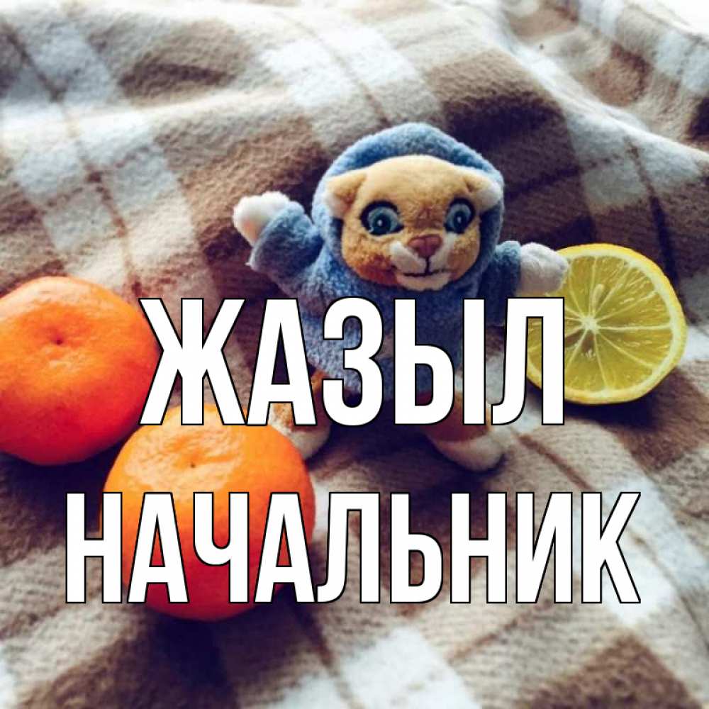 Күн сайын ашық хат с именем, Начальник Жазыл вот тебе апельсинка и лимон Онлайн тегін жүктеп алу тілектері бар керемет карта 