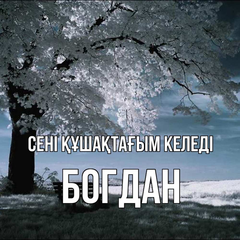 Күн сайын ашық хат с именем, Богдан сені құшақтағым келеді дерево Онлайн тегін жүктеп алу тілектері бар керемет карта 