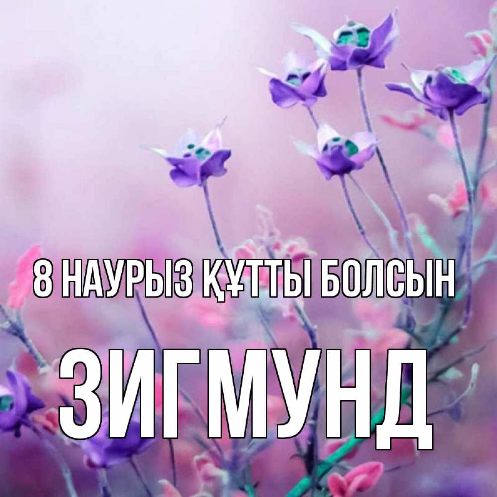 Күн сайын ашық хат с именем, Зигмунд 8 наурыз құтты болсын международный женский день 2 Онлайн тегін жүктеп алу тілектері бар керемет карта 